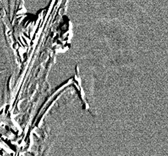 Picture13