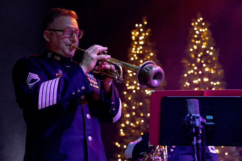 53376250253_4e760af0a9_c